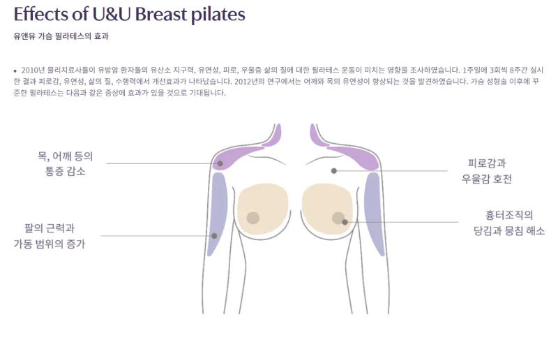 압구정가슴수술, 지방에서 서울까지 가려는 분들이 놓치는 2가지 기준 — 본문 이미지 16