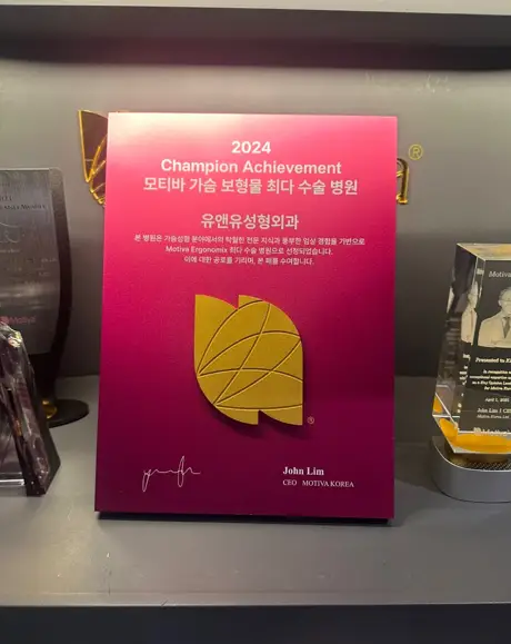 강남언니 가슴성형 후기 4,624건