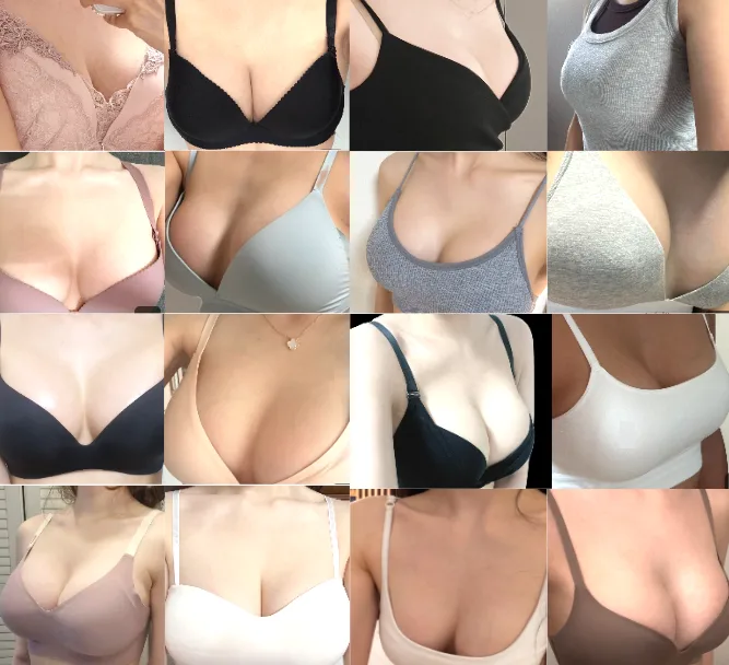 모티바가격