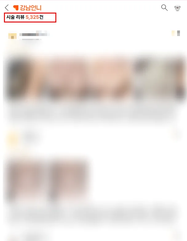 가슴확대수술비용, 리얼모델까지 고민 중이신 분께 드리는 2가지 조언 <작년 가슴성형 3,404건 진행한 곳 작성> — 본문 이미지 2