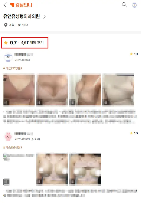 가아사 카페? 가슴성형 후기에서 확인할 수 없는 2가지 — 본문 이미지 3