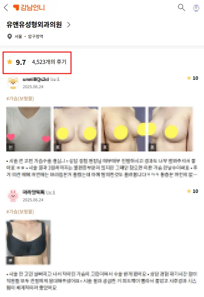 20여년 전부터 가슴성형만을 연구해온 기록들
