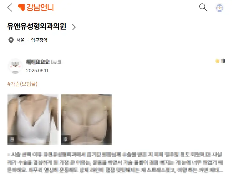 강남가슴수술? '이런 곳'을 추천드립니다. <20년의 연구경험을 바탕으로 드리는 조언> — 본문 이미지 15