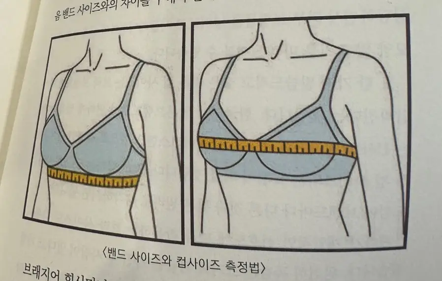 모티바 데미 풀? C컵과 부자연스러움 사이에서 고민하고 계신 분들께 드리는 편지. — 본문 이미지 5