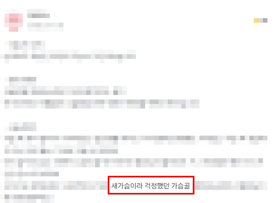 새가슴교정, 가슴 수술하면 옆으로 벌어지진 않을까?<20년 가슴성형만 연구한 병원 답변> — 본문 이미지 6