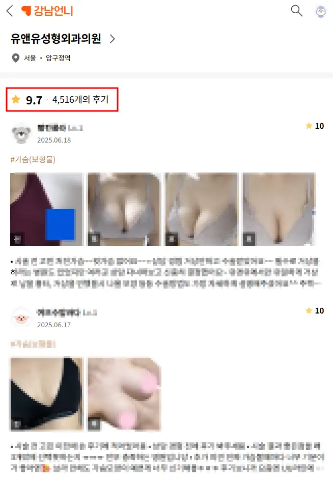 20여년 전부터 가슴성형만을 연구해온 기록들