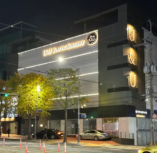 유방확대술비용? 1가지가 수십 수백만원을 결정합니다. <20년의 연구 경험으로 드리는 조언> — 본문 이미지 7
