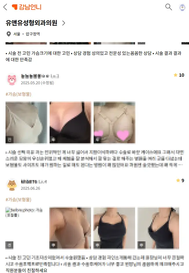 작년 - 보형물 성형 총 3,023건 진행