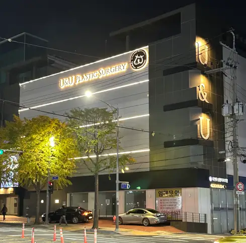 가슴리플링? BMI 기준 저체중에 속한 분들만큼은 꼭 봐주시기 바랍니다. — 본문 이미지 2
