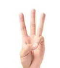 숫자 3을 표시한 손