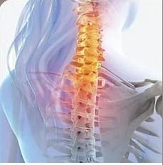 온열등 마사지 장비