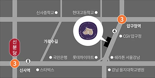 유앤유성형외과 약도 — 압구정역·신사역 인근 가로수길
