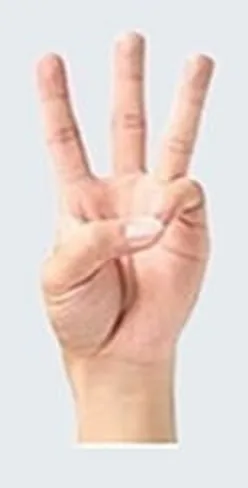 손가락 세 개를 펴 보이는 손